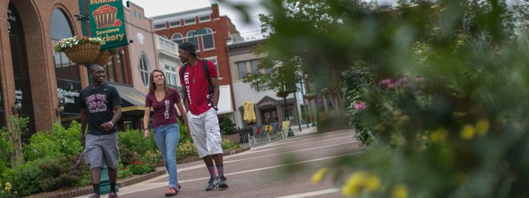 Lenoir-Rhyne University